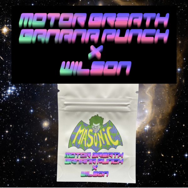 Motor Breath  Banana Punch  x Wilson